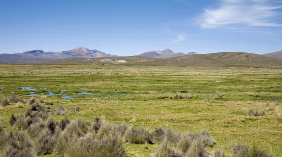 ¿Cuáles son las opciones de vehículos más populares en Tacna?